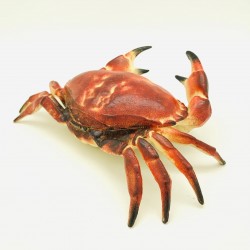 Realistischer Krabben-Schlüsselversteck aus Gusseisen