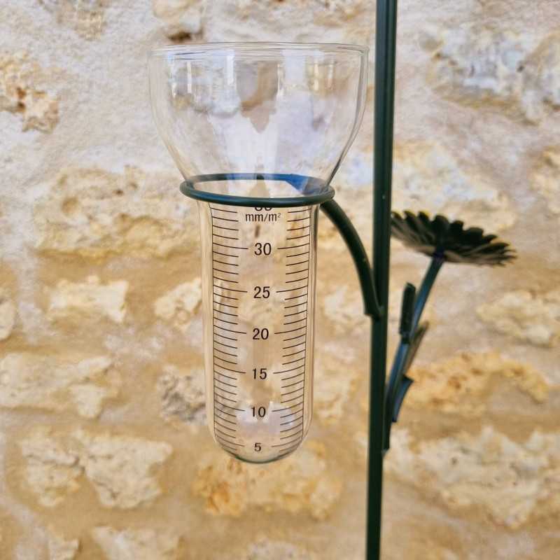 Graduiertes Glasrohr des Papagei-Regenmessers zur Niederschlagsmessung
