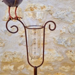 Herausnehmbarer Regenmesser aus Glas mit Skala bis 35 mm