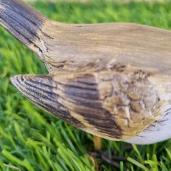 Vogel aus Harz