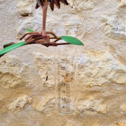 Garten-Regenmesser mit Rabe und graduiertem Glasrohr