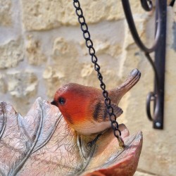 Nahaufnahme eines Rotkehlchens auf der Futterstelle