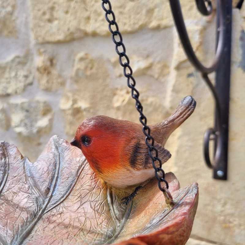 Nahaufnahme eines Rotkehlchens auf der Futterstelle