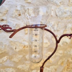 Regenmesser zum Stecken Pflanzenstütze Gartendekoration Motiv Rabe aus patiniertem Eisen mit Trichter Glasröhre, Ansicht des Tri