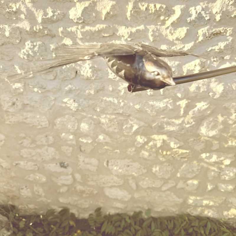Mobile Edelstahl Schwalben – Design Gartenskulptur aus Metall – Lézard du Jardin