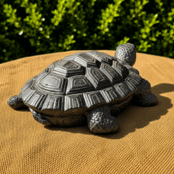 Rückansicht der Gartenschildkröte mit geometrischen Panzerplatten