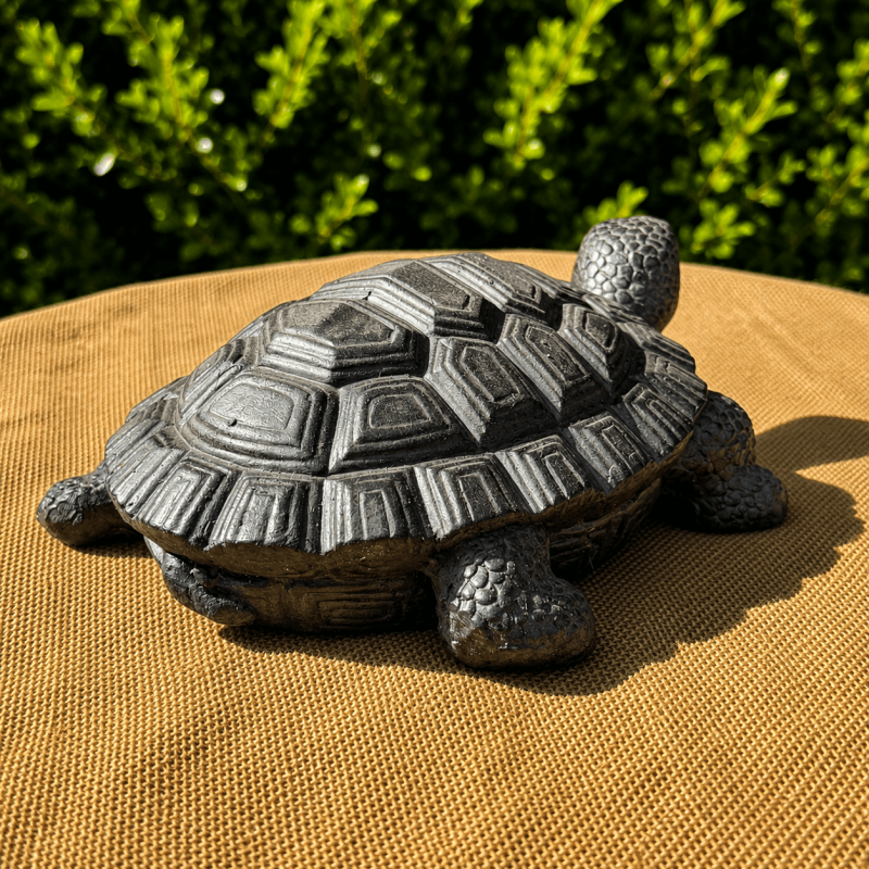 Rückansicht der Gartenschildkröte mit geometrischen Panzerplatten