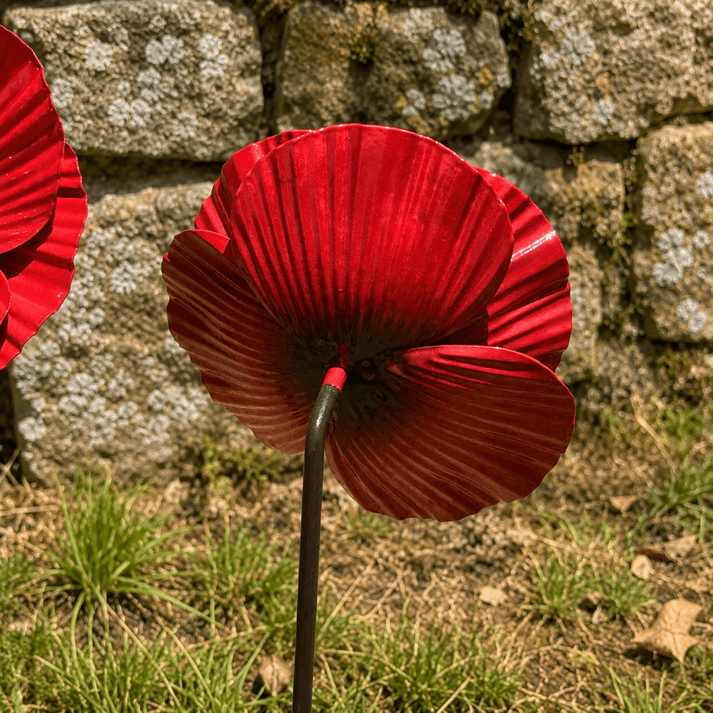 Set mit 3 dekorativen Mohnblumen aus Metall zum Stecken – Rückansicht