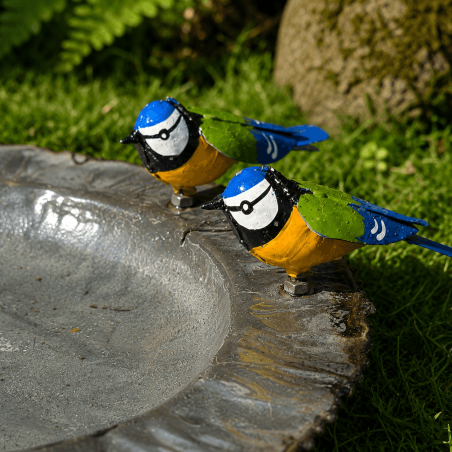 Zwei farbenfrohe Meisen auf einer schwarzen Vogeltränke aus Metall