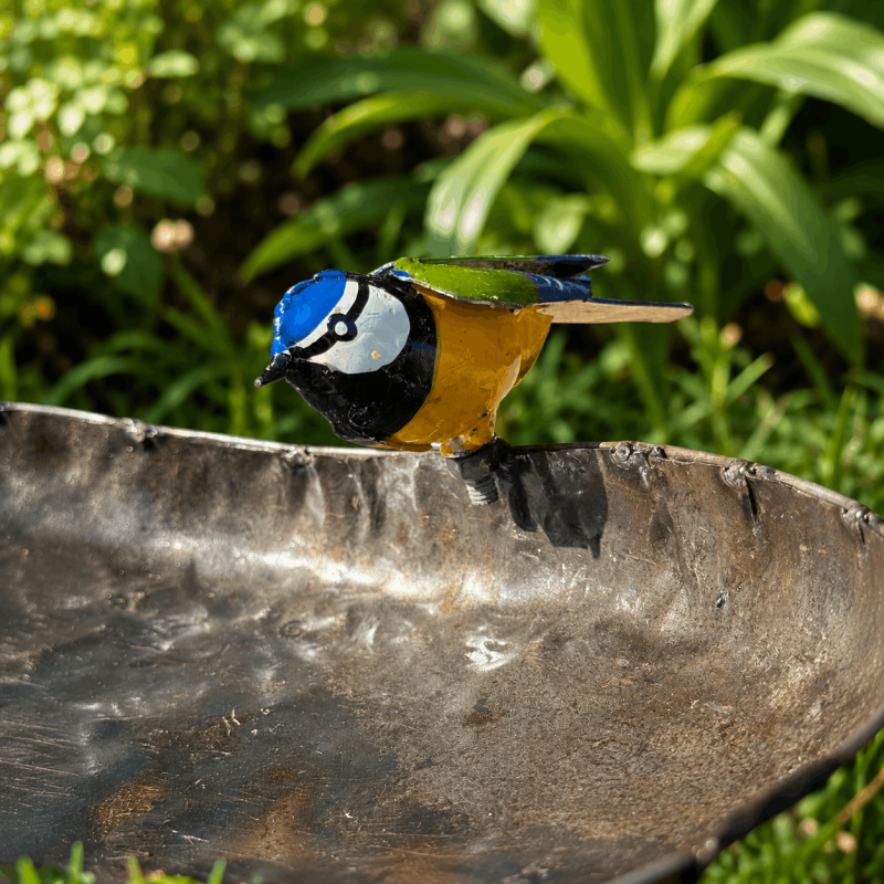 Bunte Meise auf einer herzförmigen Vogeltränke aus Metall