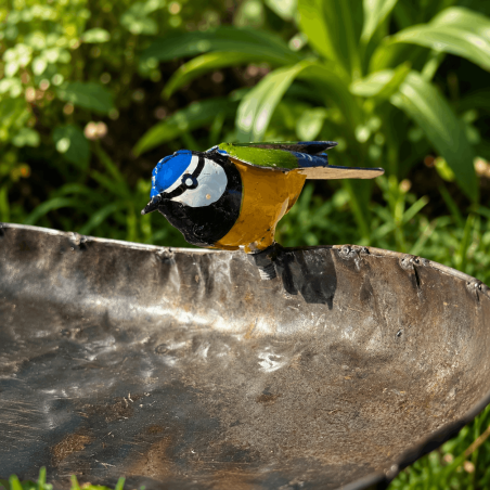 Bunte Meise auf einer herzförmigen Vogeltränke aus Metall