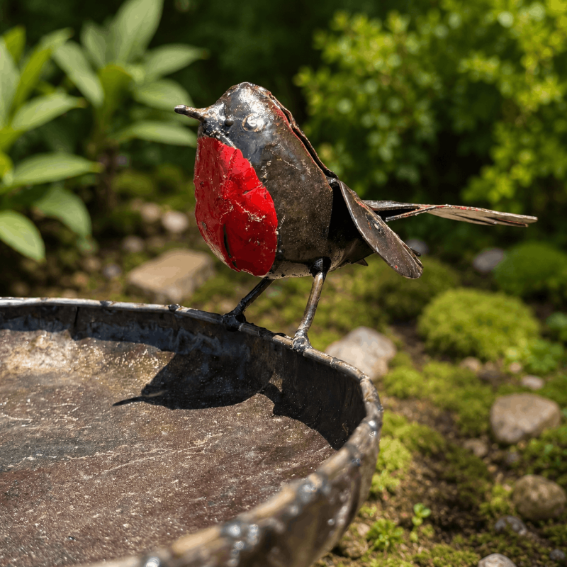 Dekorative Rotkehlchen auf einer Vogeltränke