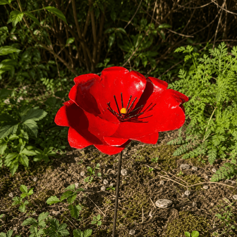 Dekorative Metall-Mohnblume im natürlichen Garten