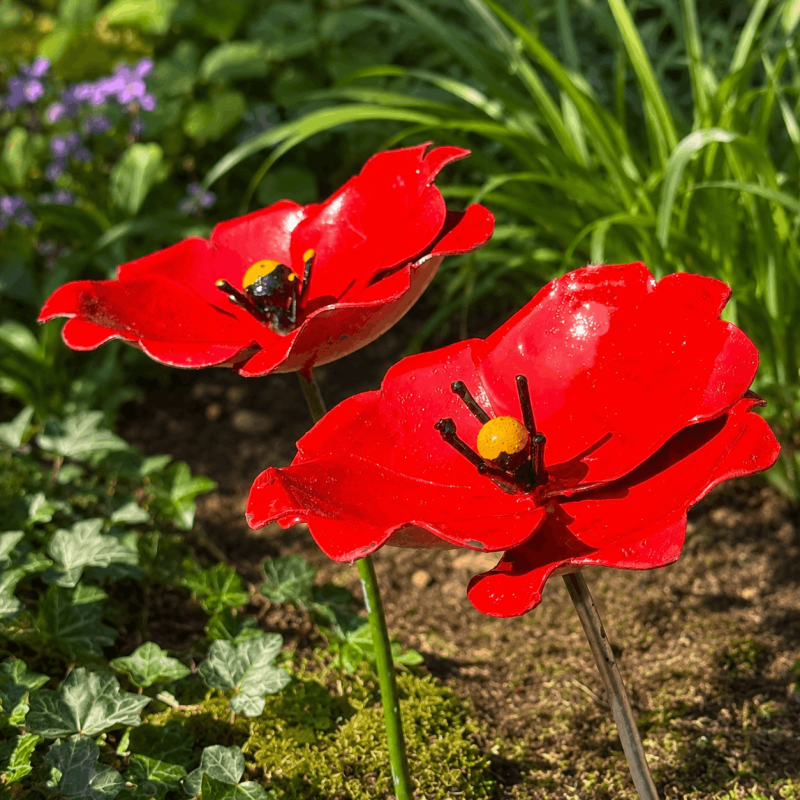 Metall-Mohnblume zwischen grünen Pflanzen im Garten