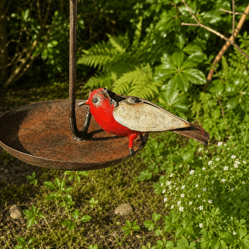 Vogelfutterstelle zum Aufhängen mit Rotkehlchen